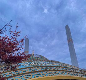 Грозный, Шали, Аргун