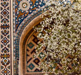 Весенний Узбекистан 5 дней: Все Включено