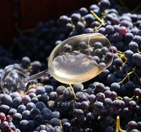 Винный тур в Хор Вирап