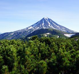 Открытие Камчатки за 10 дней