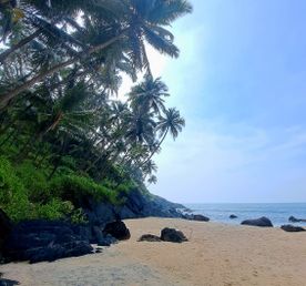 Империи, храмы и тигры Южной Индии + отдых на Гоа