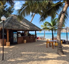 Насыщенная Кругосветка по Шри-Ланке за 8 дней