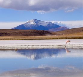 Перу, Боливия, Чили. Большое путешествие по Южной Америке