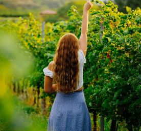 Майские каникулы в Азербайджане / 8 дней 7 ночей