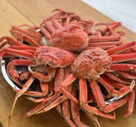 Морская прогулка к заповеднику остров Старичков