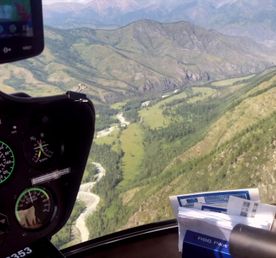 Догтур на Алтай