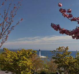 Южный берег Крыма и Wellness день в Мрии