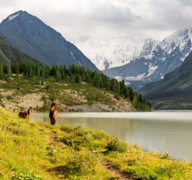 К подножью Белухи