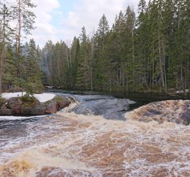 Майский сплав по Уксе