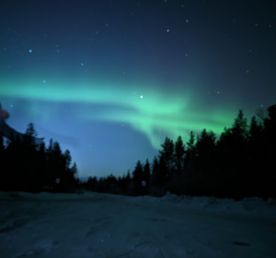 Кольский в гости к китам