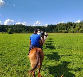 Конный тур + музей архитектуры и быта + обед в таверне