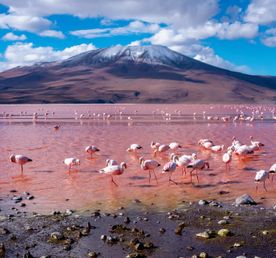 Южная Америка, 4 Страны: Аргентина, Боливия, Бразилия и Чили