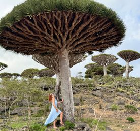 Сокотра - тур на остров блаженства