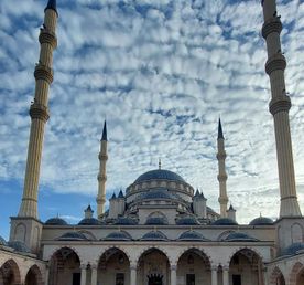 Грозный Шали Аргун