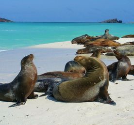 Эквадор-Галапагосские острова-Колумбия-Амазония