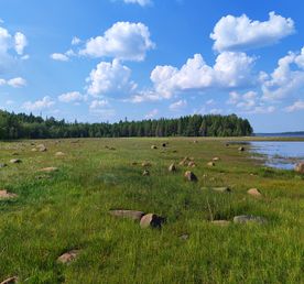 Сплав по реке Калга с выходом в Белое море