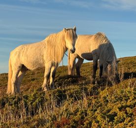 Сокровища Терского берега