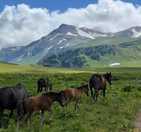 Поход 30-ка: через горы к морю