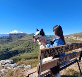 Индивидуальный тур на плато Бермамыт в компании собаки Панды