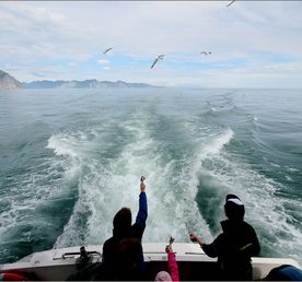 Вся Камчатка за 8 дней (лето)