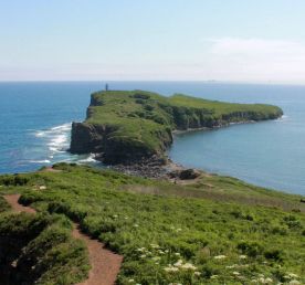 Из Владивостока — на мыс Тобизина