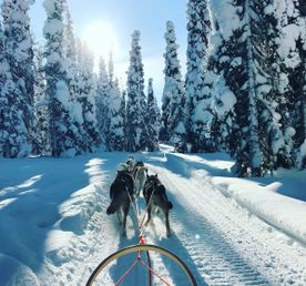 Сияние Заонежья. Рождественская Карелия