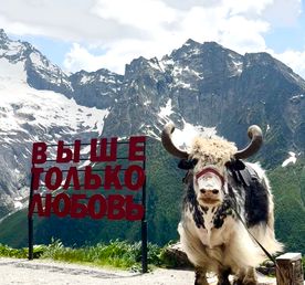 Индивидуальный тур - Это Швейцария, нет это Домбай!