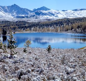 Очарование зимнего Алтая
