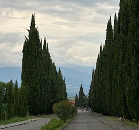 Кахетия по-дворянски — персональное путешествие для вашей компании