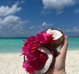 Мальдивы. Mind Balance. Тур с психологом