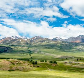 Фототур Альпийские луга Алтая