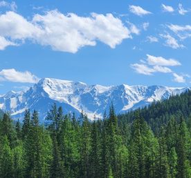 Знакомство с Алтаем. Группа до 6 человек!