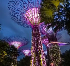 Сингапур и Бали - футуристический город-сад и тропический остров