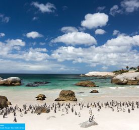 Юар: Кейптаун, Мыс Игольный, сафари, Канго и миграция китов