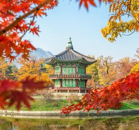 Очаровательное трио Южной Кореи - Сеул, Пусан и о.Чеджу