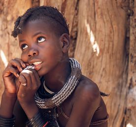 Намибия, Ботсвана (Чобе) Зимбабве, Замибя - Африканская четверка!