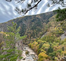 Бархатное Приморье. Полкрая за 10 дней с комфортом.