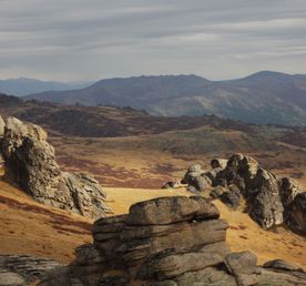 Конный тур Чокпартас - жемчужина Южного Алтая
