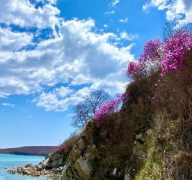 Тур Весенняя рапсодия 2026 г.Владивосток