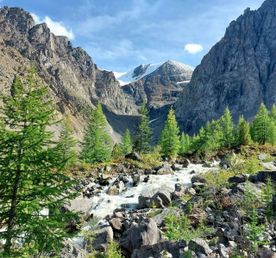 Серебро Алтая, треккинг без рюкзаков к ледникам Актру.