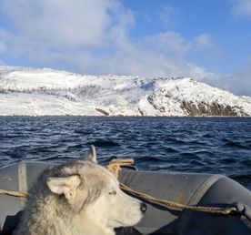 Дикий пляж, скалы и морские обитатели.