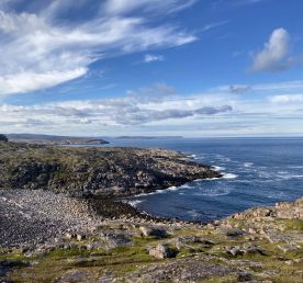 Путешествие в Териберку. Киты и Баренцево море