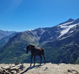 Поход без рюкзаков в Приэльбрусье