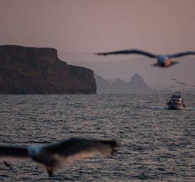 Байкал + Аршан