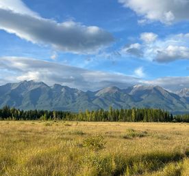 Долина Аршанов: Путешествие к Источнику Силы и Красоты