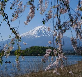 Япония. Неоновый дзен и ароматы Сакуры.
