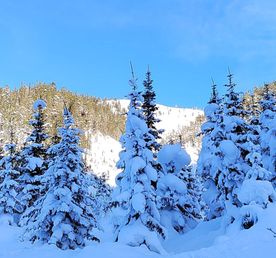 Увлекательное путешествие на Мамай одним днем