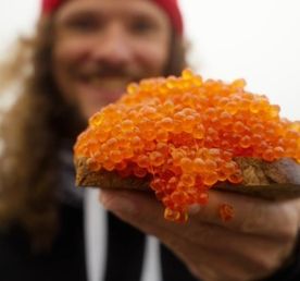 Камчатка: увидеть максимум. Всё включено