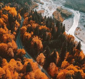 Кавказская Швейцария. Золотая осень в Домбае
