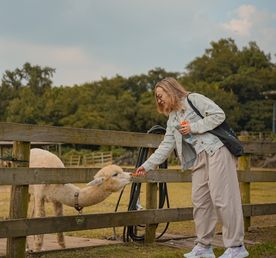 Лето в Корее: Сеул-Пусан-Чеджу
